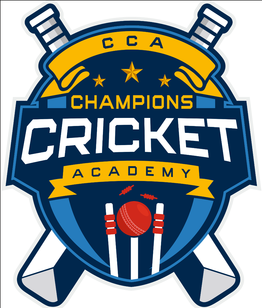 Champions Cricket Academy